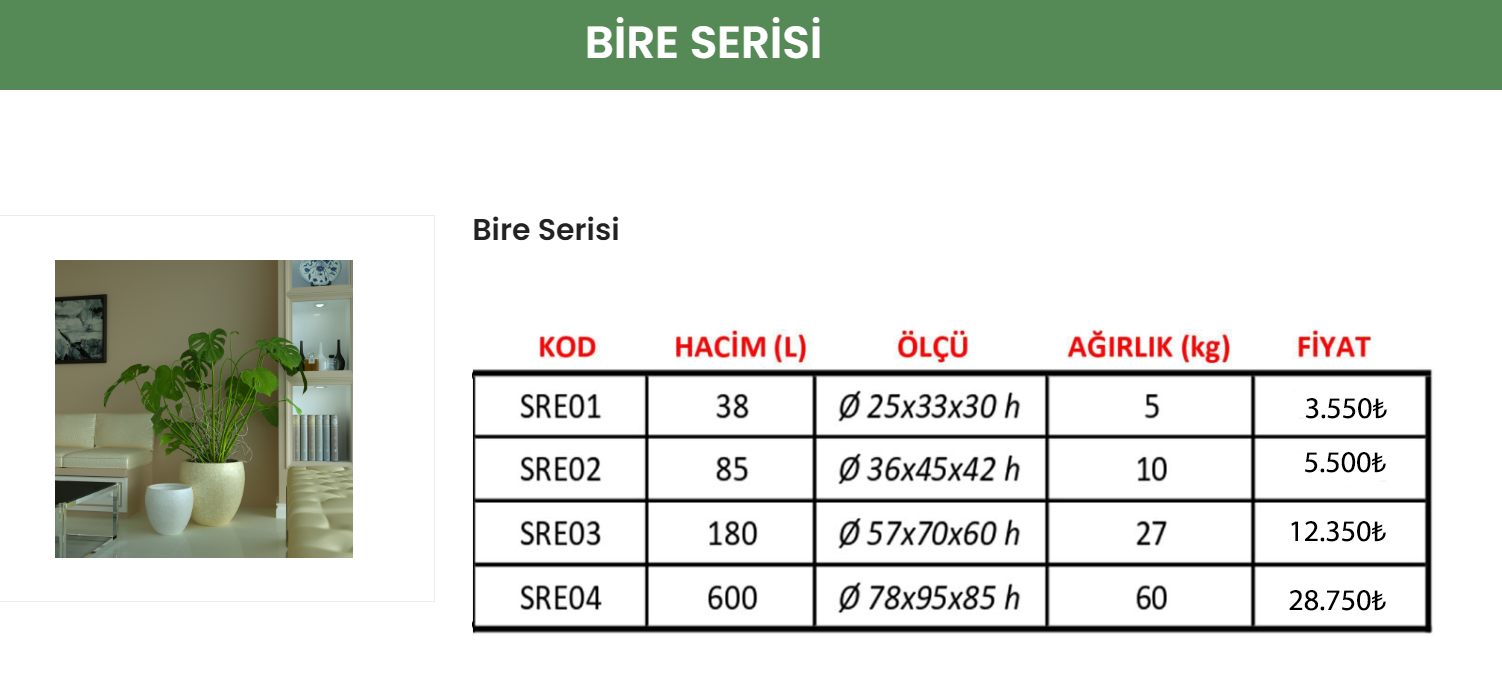 6  BİRE SERİSİ
